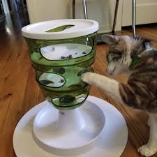 This text font generator allows you to convert normal text into different text fonts that you can copy and paste into instagram, facebook, twitter, twitch, youtube, tumblr, reddit and most other places on the internet. Feeding Cats For Optimal Mental And Behavioral Well Being Veterinary Clinics Small Animal Practice