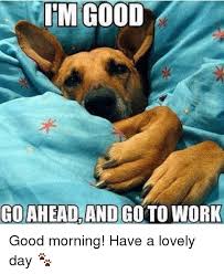 Im Good Coaheadlandgoto Work Good Morning Have A Lovely Day Meme On Me Me