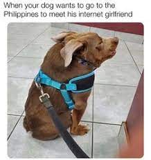 Submitted 6 months ago by david7494. 40 90 Day Fiance Chuckles Ideas 90 Day Fiance Fiance 90 S
