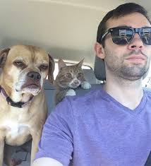 Saw The Reflection In The Sunglass Dog I Think You Ll Chicken Out Cat Is That A Tuna Truck Get I Funny Pictures Memes Funny Pictures Can T Stop Laughing