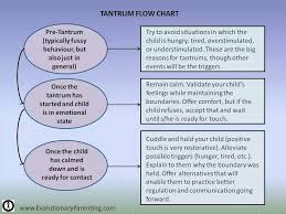 Tantrum Flow Chart Read And Kept For Future Ref Foster
