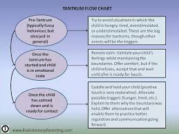 tantrum flow chart read and kept for future ref foster