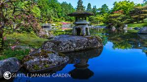 Click the 'download' link below your selected image. Seattle Japanese Garden Backgrounds Now Available For Video Conferences Seattle Japanese Garden