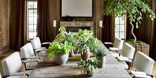 Chakras are the energy centers of the body. These Are The Houseplants Top Designers Love Architectural Digest
