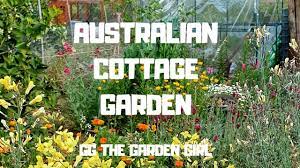 We did not find results for: Australian Spring Cottage Garden Update Garden Changes After A Holiday Week 41 Youtube
