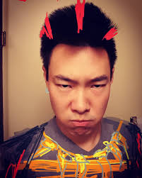 Sheltered Turtle (Music)