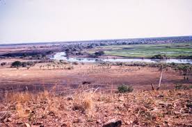 Humpty Doo Rice Project
