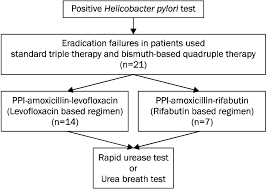 The Flow Chart For Eradication Of Helicobacter Pylori Ppi
