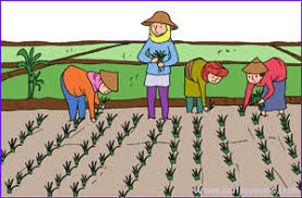 Kunci jawaban tematik tema 5 kelas 5. Kunci Jawaban Buku Siswa Tema 9 Kelas 5 Halaman 82 85 86 92 93 Sanjayaops