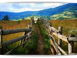 Pentru doua zile clujul a devenit capitala startup a europei. Fonduri Pentru Pensiuni Agroturistice Macro Training Cursuri Online De Formare Profesionala È™i Dezvoltare PersonalÄƒ