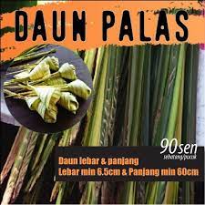 Anda kena buka dan lipat daun tu jadi kelongsong ketupat dulu dan biarkan seketika sementara kita nak masak pulut tu untuk dapatkan shape. Ready Stock Sebatang Pucuk Daun Palas Minyak Shopee Malaysia