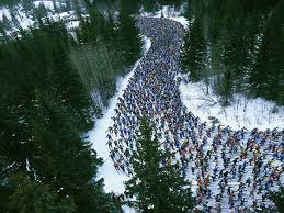 Vasaloppet china is a 50 km cross country ski race, open for everyone. Pin On Sverige