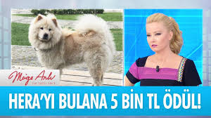 Hera Yi Bulana 5 Bin Tl Odul Muge Anli Ile Tatli Sert 20 Haziran 2018 Youtube