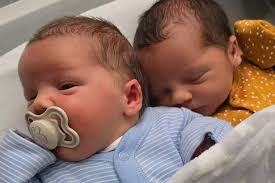 Alien sales pod' to be removed from country park after local complaints