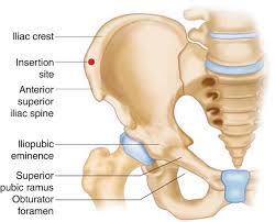 Image result for Intraosseous Access