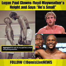 The rules for the paul vs. Domislive News On Twitter Logan Paul Clowns Floyd Mayweather S Height And Says He S Small