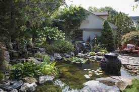 We are on 3 manicured acres, with 9+ display ponds ranging from a 500 gallon pond to a $100.000 27 thousand gallon koi pond. How Deep Should A Koi Pond Be Answered And Explained Pond Wiki