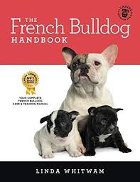 The brand french bullevard is a new york city luxury accessory brand dedicated to dogs, with a special mention to french bulldogs. The Essential Guide For New And Prospective French Bulldog Owners Akc Shop