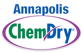 The crofton professional power steam cleaner is a multipurpose steam cleaning tool! Carpet Upholstery Cleaning In Annapolis Md Chem Dry Of Annapolis