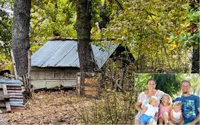 Trend Google: famiglia nel bosco bambini separati
