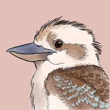 Kookaburra Illustrated Fine Art Print Love Australian Handmade Art Fine Art Prints Art Prints