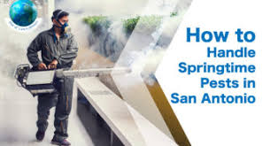 Our line of materials is organically formulated, environmentally friendly, and safe. 1 Natural Pest Control Company In Texas Nature S Own Pest Control