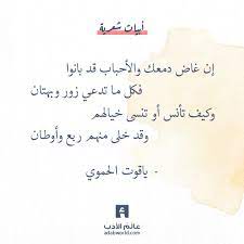 أجرى دموعي وأذكى النار في كبدي غداة بينهم هم وأحـزان اجمل بيوت الشعر اقوى بيت شعر شعر غزل شعر في الحب quotations arabic poetry spoken word poetry poems
