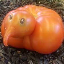 Pin On Weirdly Shaped Fruits And Vegetables