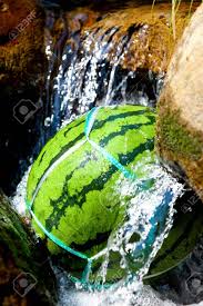 川で冷やすスイカの写真素材・画像素材 Image 43599506