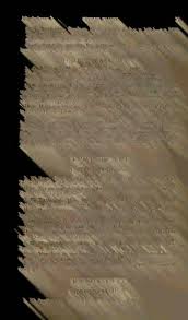 Image result for Triumfetta setulosa