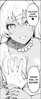 The perfect wife a freelance photographer in houston matches with a determined educator from atlanta. The Perfect Wife Doesn T Exis Supportivewaifus