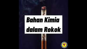 Buat kamu para perokok, yuk simak video kandungan bahan kimia yang ada dalam rokok seperti berikut ini, semoga bermanfaat selamat menyaksikan. Bahan Kimia Dalam Rokok Youtube