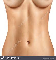 Small projection of a woman's or girl's breast. Human Body Parts Close Up Stomach Stock Picture I3219469 At Featurepics