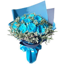 We did not find results for: Delivery Dozen Of Light Blue Roses In Bouquet To Philippines