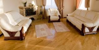 Carpet cleaning in otter lake