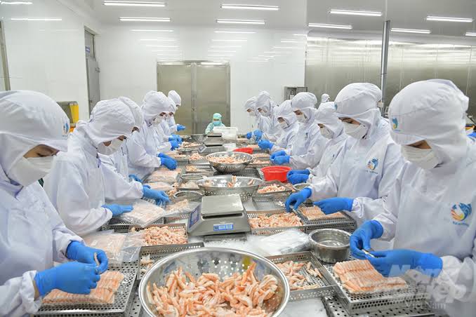 Áp dụng HACCP: Chìa khóa để sản xuất thủy sản an toàn, chất lượng cao