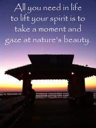 chorus a natural beauty should be preserved like a monument to nature don't judge yourself too harsh my love or someday you might find your soul. Amazingkarma Com Sign Up Page Nature Quotes Nature Beauty Gazing Quote