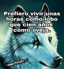 Sin Duda Alguna Frases De Lobos Diario De Un Lobo Frases Bonitas