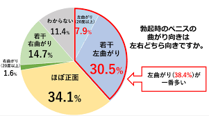 ペニスの曲がり】ペニスが曲がっているのはなぜなのか - TENGAヘルスケア プロダクトサイト