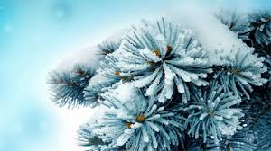 30 Breathtaking Winter Wallpaper For Your Desktop Naldz Graphics Choose from hundreds of free winter backgrounds. 30 breathtaking winter wallpaper for