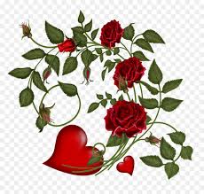 Please feel free to share + upload your own valentine flower pics and ask questions for advice & even instructions. Transparent Rose Vector Png Transparent Valentines Flowers Png Download Vhv