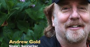 Andrew Maurice Gold