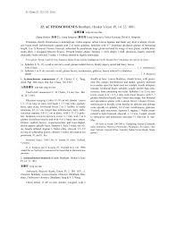 Image result for Actinoschoenus