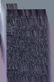 Image result for Lipocarpha atra