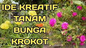 Membuat bunga dari sedotan bunga lavender beautiful straw flower. Kreatif Penataan Bunga Krokot Dll Kreatif Penataan Bunga Krokot Dll Menanam Bunga Krokot Warna Warni Kreasi Taman Rumah Minimalis Ide Kreatif Cute766 Di Botol Terbalik Berkreasi Dengan Bunga Krokot Ada Banyak
