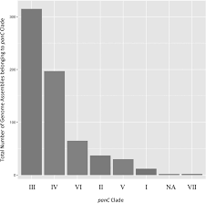 rapid high throughput identification of anthrax causing and