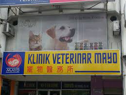 What will this first puppy veterinary visit cost? 24 Hours Vets In Kl And Pj