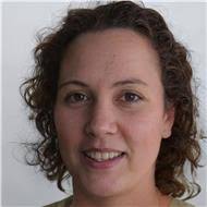 Cuáles son las propiedades y aplicaciones de los distintos tipos de  triángulos?