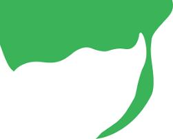 Image result for Argyrolobium rupestre