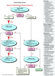 Complete acls algorithms for 2020. Episode 2 Pharmacist Response To Code Blue Continued Pharmacy Joe